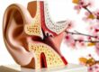 Allergies & Ear Pain: The Hidden Connection Explained 🔍👂